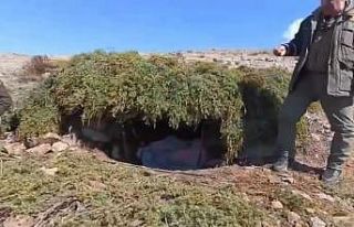 Elazığ’da kaçak meterisler  imha edildi