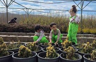 Elazığ’da minik öğrenciler fidanlıkta doğayla...