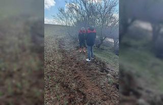 Elazığ’da tarla faresi  sürvey çalışması