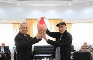 Elazığ’da tavla ve bocce etkinliği