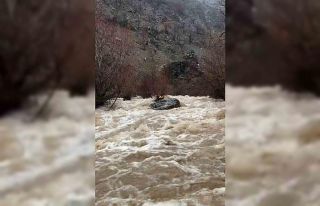 Elazığ’da yağış sonrası dereler coştu