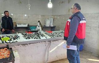 Emet’te balıkçılara yönelik denetim yapıldı