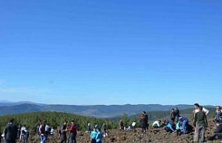 Emet’te zeytin fidanları toprakla buluştu