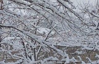 Erciş’te mart ayında kar yağışı