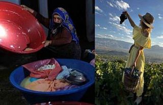 Erzincan Tulum Peyniri ve Cimin Üzümü dünya çapında...