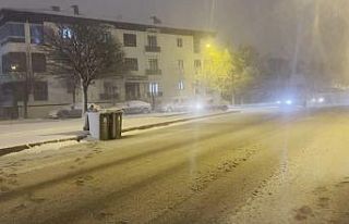 Erzincan’da kar yağışı