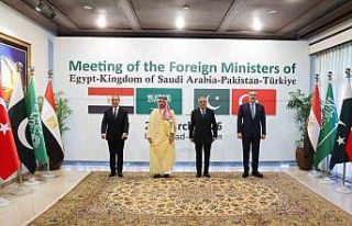 Fidan, Türkiye-Mısır-Pakistan-Suudi Arabistan Dışişleri...