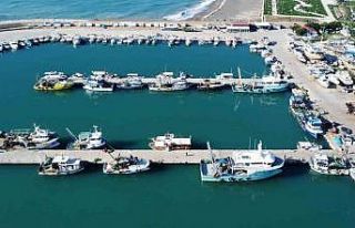 Fırtınalı Akdeniz, balıkçıları barınağa hapsetti