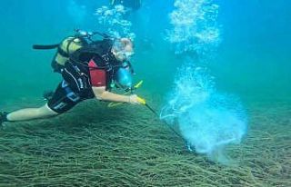 Garanti BBVA ve TURMEPA, deniz çayırlarının korunmasına...