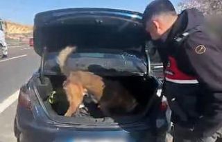 Gaziantep’te şüpheli araçta uyuşturucu ele geçirildi:...