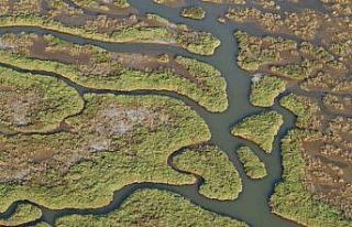 Gediz Nehri mercek altında