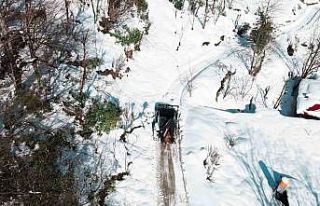 Giresun’un yüksek kesimlerinde karla mücadele...