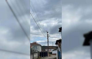 Gönen Dereköy’de leylek yapay yuvayı reddetti,...