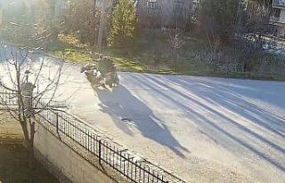 Görenleri düşündüren motosiklet kazası güvenlik...