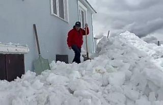 Gümüşhane’de akılalmaz olay: Ayılar bu kez...