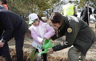 Gümüşhane’de fidanlar toprakla buluştu