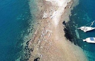 Gümüşlük koyunda sular çekildi, 3 bin 500 yıllık...