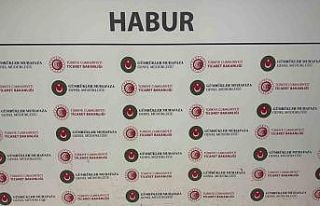 Habur’da tırda yapılan aramada, yaklaşık 14.6...
