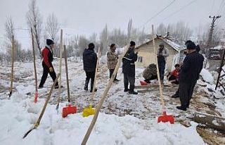 Hakkari Durankaya’da ahır çöktü 5 hayvan telef...