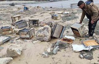 Hakkari’de selde 150 kovan zarar gördü