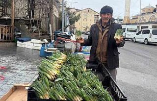 Hakkari’de yılın ilk pancarları tezgâhlarda...