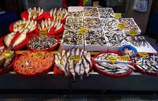 Hamside beklenen son