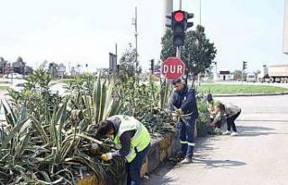 Hatay Büyükşehir Belediyesi bitkide dışa bağımlılığı...