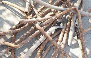 Hatay Büyükşehir Belediyesi, Dörtyol’da pastan...