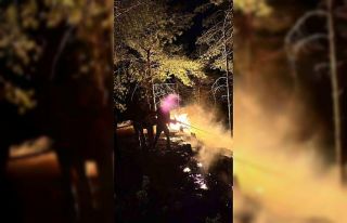 Hatay’da ormanlık alanda çıkan yangın büyümeden...