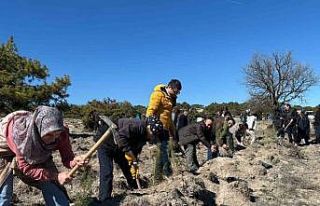 ’Hep Birlikte Geleceğe Nefes’ sloganıyla fidanlar...