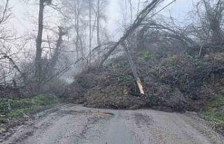 Heyelan köy yolunu ulaşıma kapattı
