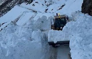 Hizan’da köy yoluna çığ düştü