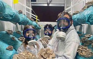 Hobi olarak başladığı mantar yetiştiriciliğinde...