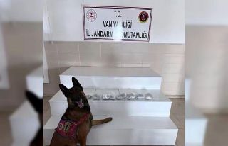 İçişleri Bakanlığı: "Van ve Hakkari’de...