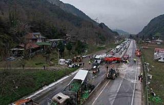 İki tır çarpıştı, D-650 savaş alanına döndü