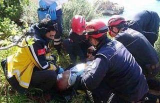 İncir ağacı hayatını kurtardı: Falezlerde 20...