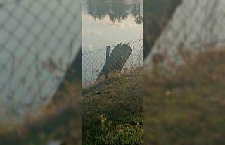 İran’dan ateşlenen mühimmat parçası Hatay’a...