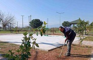 Işıklı Parkı’nda çevre düzenlemesi başladı
