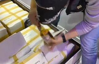 İstanbul’da kaçak içki operasyonu: Baza altından...