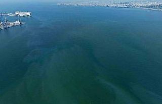 İzmir Körfezi’nde yine dış kaynaklı kirlilik...