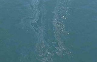 İzmir Körfezi’nde yine kirlilik tespit edildi