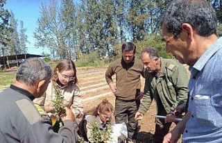 İzmir’in damla sakızı KKTC’de toprakla buluştu