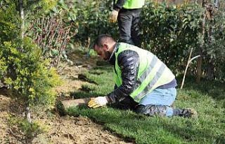 Kağıthane’de yeşil alanlarda bakım ve düzenleme...
