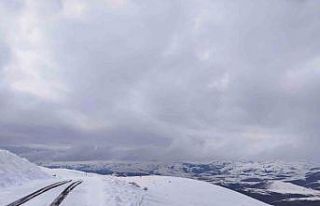 Kar yağışı Aşkale’de yeniden etkili oluyor