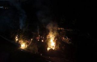 Karabük’te ormanlık alanda çıkan örtü yangını...