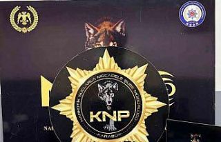 Karabük’teki uyuşturucu operasyonlarında 5 kişi...