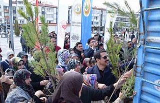 Karapınar’da ağaçlandırma etkinliği