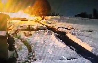 Kars’ta kurt sürüsünü kürekle kovalayan vatandaş...