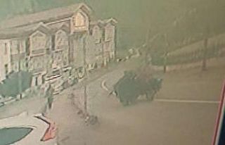 Kastamonu’da lastiği fırlayan tarım aracı takla...