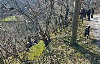 Kastamonu’da "patpat" şarampole yuvarlandı:...